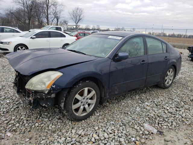 NISSAN MAXIMA SE 2006 with VIN 1N4BA41E06C822611 - Photo from auction