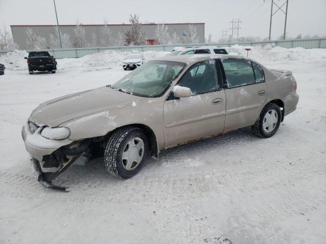 CHEVROLET MALIBU 2000 with VIN 1G1NE52J4Y6305030 - Photo from auction