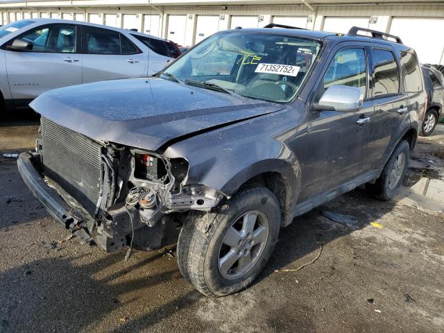 FORD ESCAPE XLT 2009 with VIN 1FMCU93G59KC10511 - Photo from auction