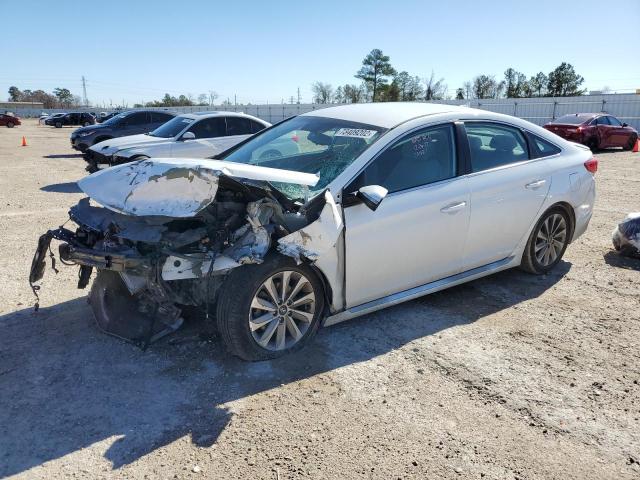 HYUNDAI SONATA SPO 2016 with VIN 5NPE34AF8GH263437 - Photo from auction