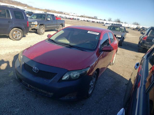 TOYOTA COROLLA BA 2010 with VIN 1NXBU4EE8AZ204186 - Photo from auction