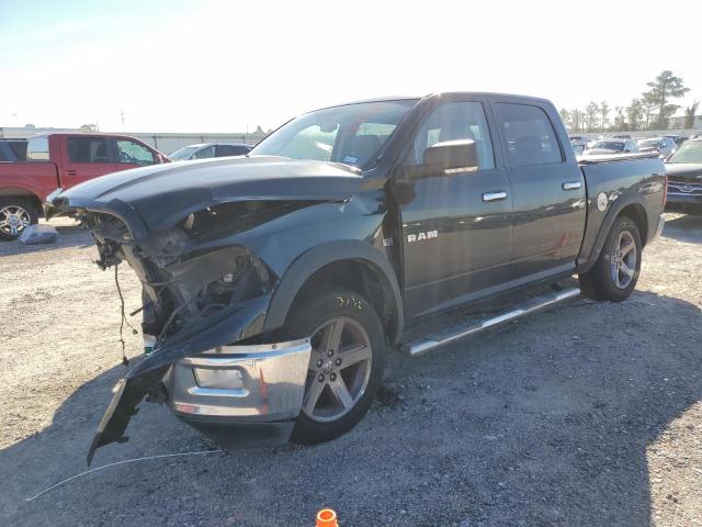 DODGE RAM 1500 2009 with VIN 1D3HB13T09J513109 - Photo from auction