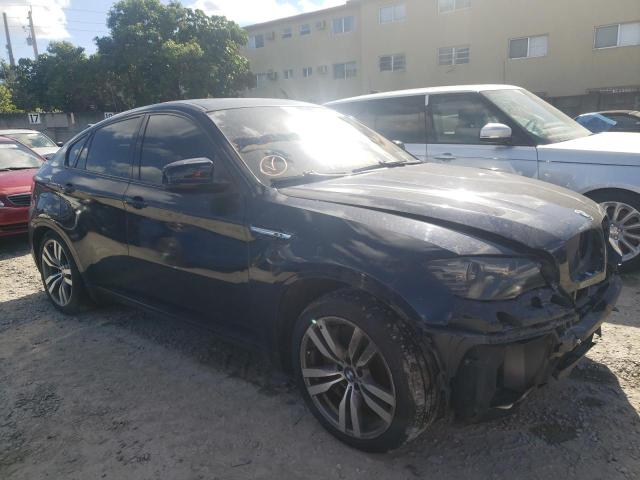 Photo 4 from auction – 2010 BMW X6 M with VIN 5YMGZ0C56ALK13229