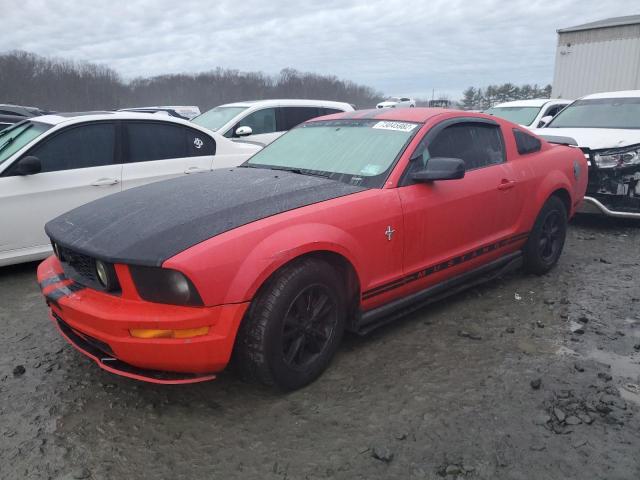 Photo 1 from auction – 2005 FORD MUSTANG with VIN 1ZVFT80N655112904