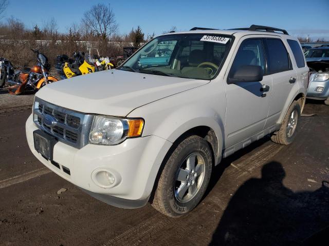 FORD ESCAPE XLT 2009 with VIN 1FMCU03749KB21301 - Photo from auction
