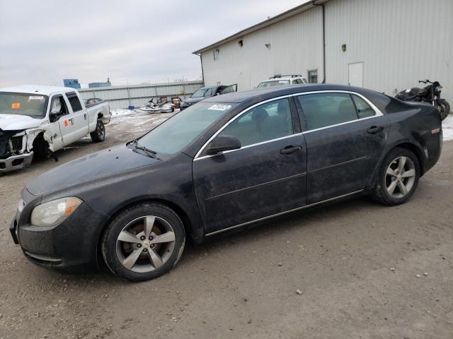 Photo 1 from auction – 2011 CHEVROLET MALIBU 1LT with VIN 1G1ZC5E14BF184171