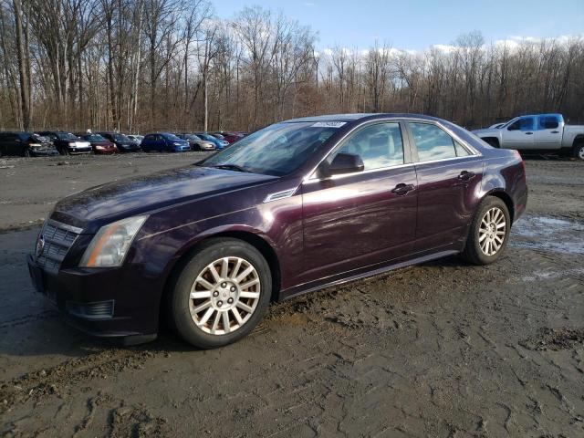 Zdjęcie 1 z aukcji – 2010 CADILLAC CTS z VIN 1G6DA5EG1A0147174