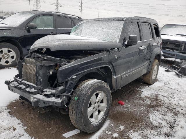 JEEP LIBERTY SP 2010 with VIN 1J4PN2GK6AW145281 - Photo from auction