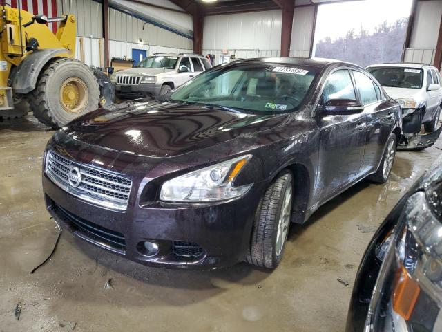 NISSAN MAXIMA S 2010 with VIN 1N4AA5AP7AC800813 - Photo from auction