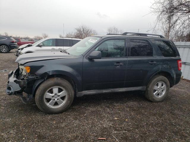 Photo 1 from auction – 2009 FORD ESCAPE XLT with VIN 1FMCU03G89KB91304