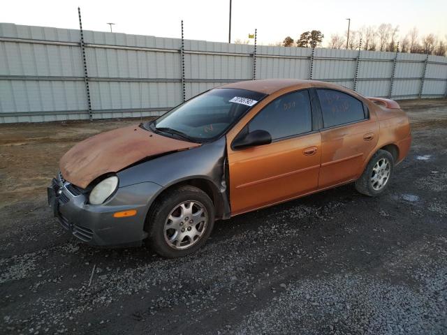 DODGE NEON SXT 2005 with VIN 1B3ES56C35D259534 - Photo from auction