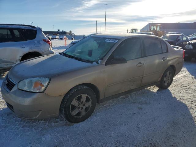 CHEVROLET MALIBU LS 2005 with VIN 1G1ZT52845F270196 - Photo from auction