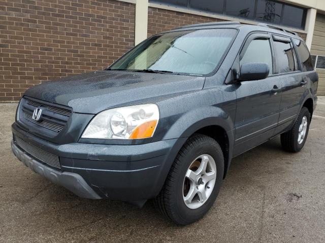 HONDA PILOT EXL 2005 with VIN 5FNYF18525B034313 - Photo from auction