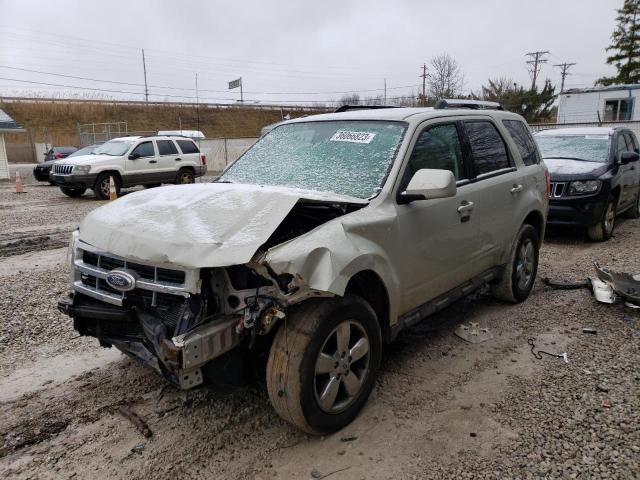 FORD ESCAPE LIM 2009 with VIN 1FMCU04G99KC12353 - Photo from auction