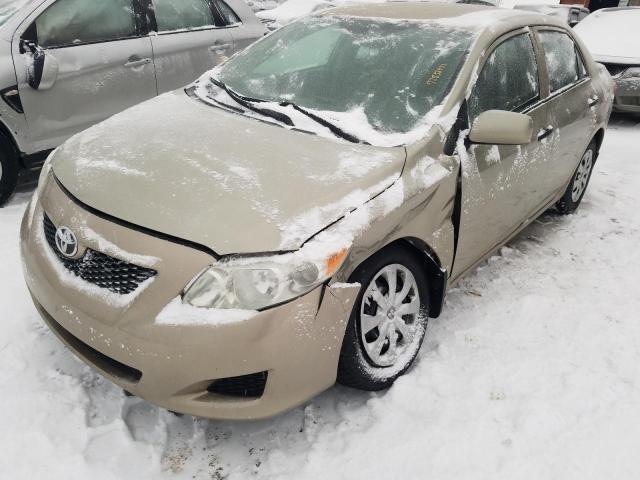 TOYOTA COROLLA BA 2010 with VIN 2T1BU4EEXAC223520 - Photo from auction