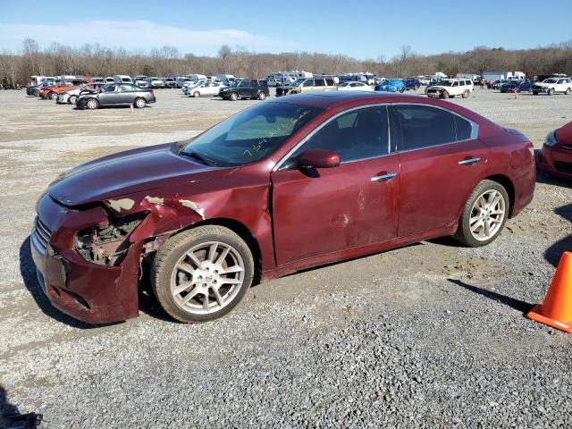 NISSAN MAXIMA S 2010 with VIN 1N4AA5AP6AC828554 - Photo from auction