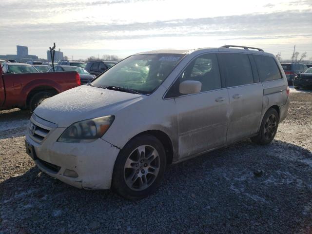 HONDA ODYSSEY TO 2005 with VIN 5FNRL38815B066446 - Photo from auction