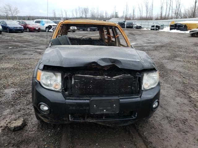 Photo 5 from auction – 2010 FORD ESCAPE XLT with VIN 1FMCU9D78AKD21850