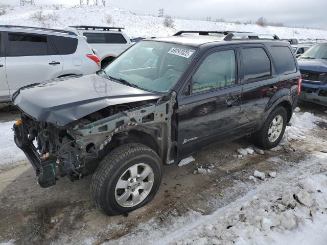 FORD ESCAPE HYB 2011 with VIN 1FMCU5K34BKA66706 - Photo from auction