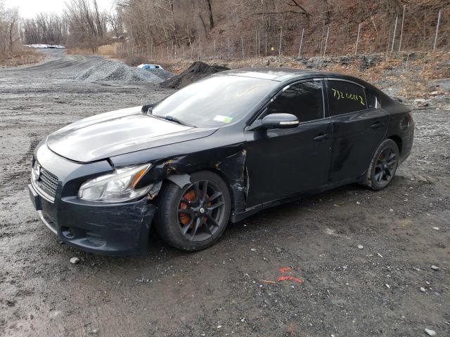NISSAN MAXIMA S 2009 with VIN 1N4AA51E79C850699 - Photo from auction