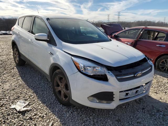 Photo 4 from auction – 2013 FORD ESCAPE SE with VIN 1FMCU9GX4DUA51956