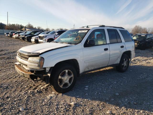 CHEVROLET TRAILBLAZE 2006 with VIN 1GNDT13S662324635 - Photo from auction