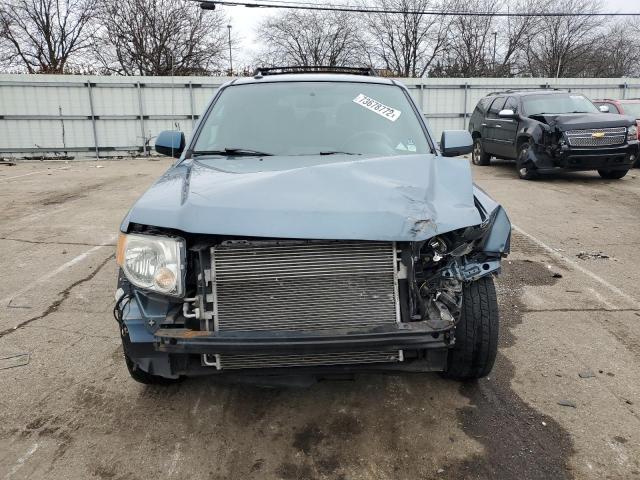 Photo 5 from auction – 2011 FORD ESCAPE LIM with VIN 1FMCU9EG9BKC42168