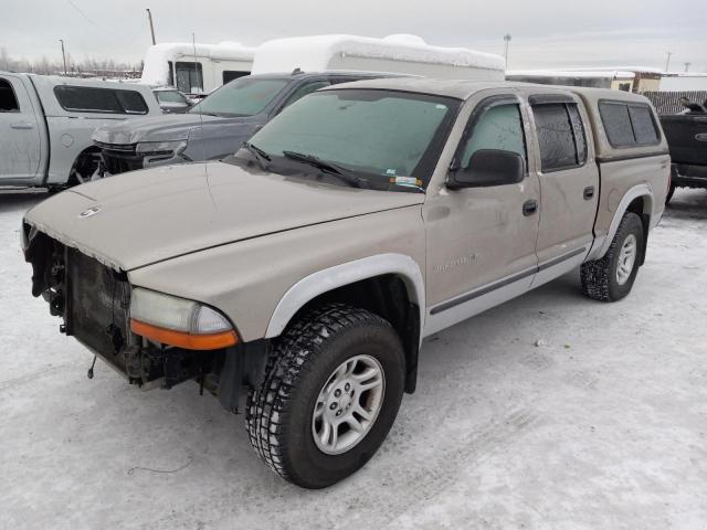 DODGE DAKOTA QUA 2002 with VIN 1B7HG48N82S670795 - Photo from auction