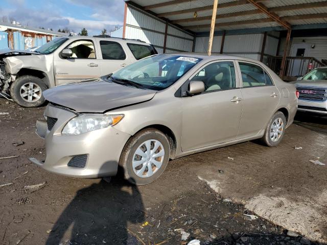 TOYOTA COROLLA BA 2010 with VIN 2T1BU4EE9AC332941 - Photo from auction