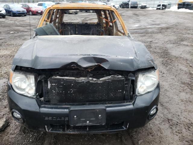 Photo 12 from auction – 2010 FORD ESCAPE XLT with VIN 1FMCU9D78AKD21850