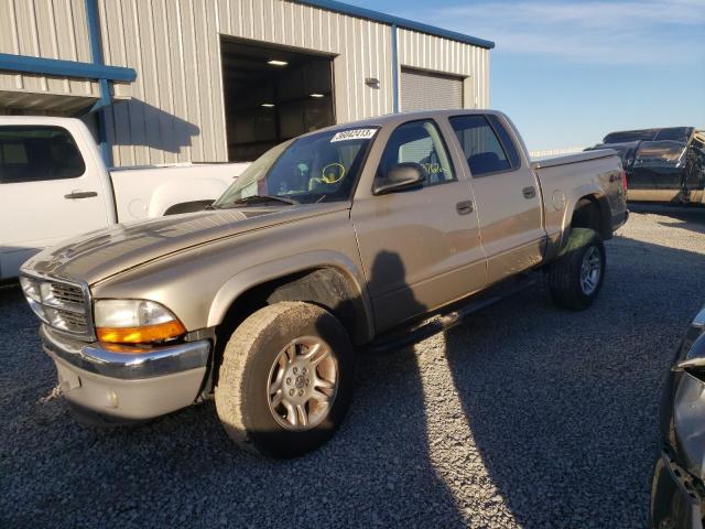 DODGE DAKOTA QUA 2004 with VIN 1D7HG48N24S501042 - Photo from auction