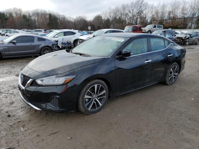 NISSAN MAXIMA SV 2021 with VIN 1N4AA6CV2MC509223 - Photo from auction
