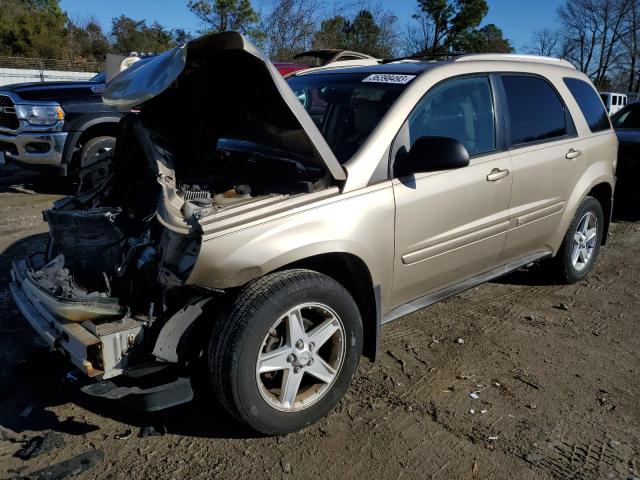 CHEVROLET EQUINOX LT 2005 with VIN 2CNDL73F656024931 - Photo from auction