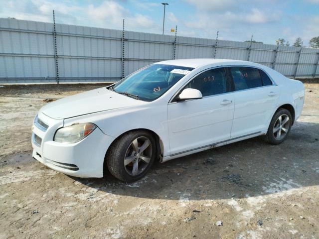 CHEVROLET MALIBU 1LT 2011 with VIN 1G1ZC5EU3BF391225 - Photo from auction
