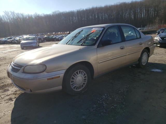 CHEVROLET MALIBU 2002 with VIN 1G1ND52J72M662353 - Photo from auction