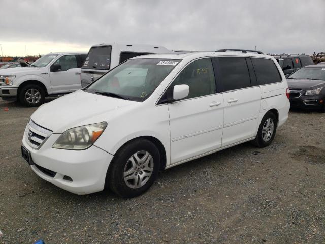 HONDA ODYSSEY EX 2005 with VIN 5FNRL38715B044521 - Photo from auction