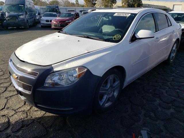 CHEVROLET MALIBU 2LT 2011 with VIN 1G1ZD5E71BF383874 - Photo from auction
