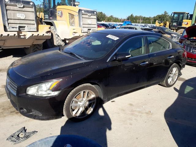 NISSAN MAXIMA S 2011 with VIN 1N4AA5AP6BC842326 - Photo from auction