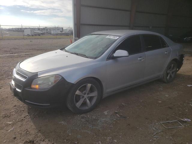 CHEVROLET MALIBU 1LT 2011 with VIN 1G1ZC5EU1BF374763 - Photo from auction