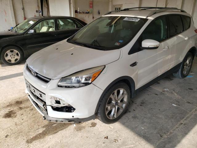 FORD ESCAPE TIT 2014 with VIN 1FMCU0JX1EUD99669 - Photo from auction