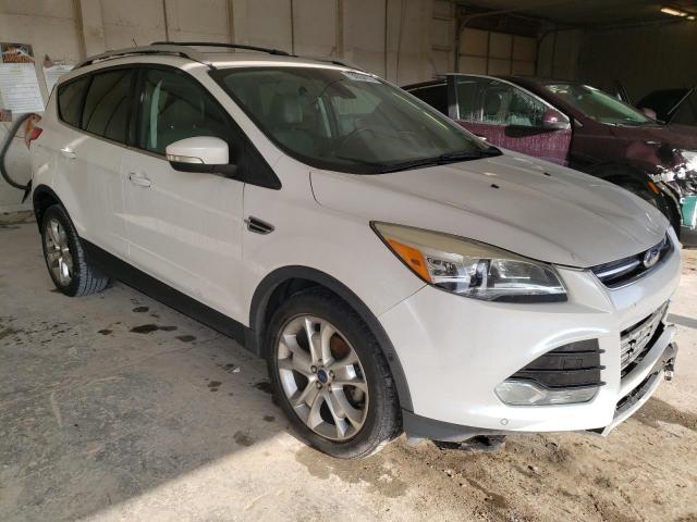 Photo 4 from auction – 2014 FORD ESCAPE TIT with VIN 1FMCU0JX1EUD99669
