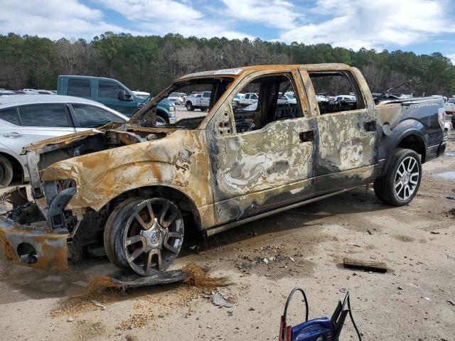 FORD F150 SUPER 2010 with VIN 1FTEW1CV7AFB36254 - Photo from auction