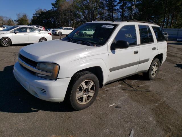 CHEVROLET TRAILBLAZE 2005 with VIN 1GNDS13SX52323716 - Photo from auction