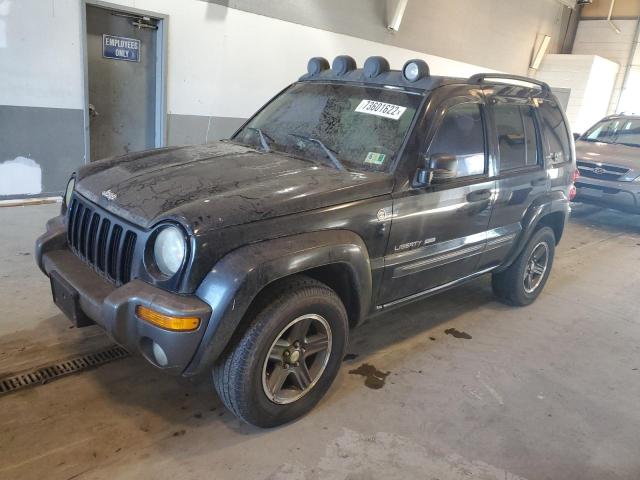 JEEP LIBERTY 2004 with VIN 1J4GL48K24W165094 - Photo from auction