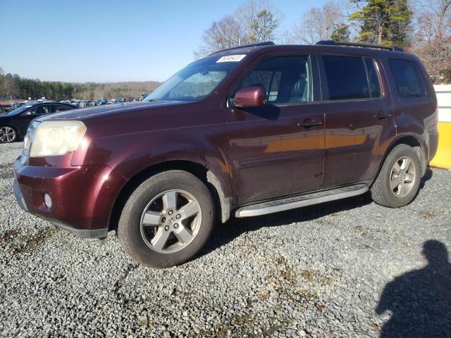 HONDA PILOT EXL 2009 with VIN 5FNYF38549B021810 - Photo from auction