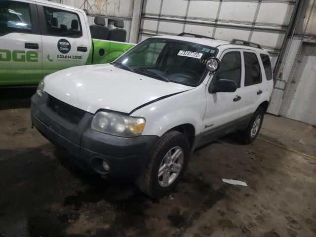 FORD ESCAPE HEV 2007 with VIN 1FMYU49H27KB68045 - Photo from auction