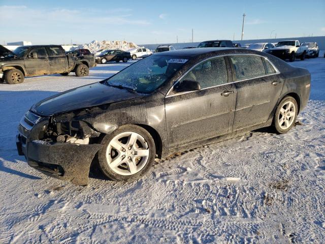 CHEVROLET MALIBU LS 2010 with VIN 1G1ZB5EB3AF204503 - Photo from auction