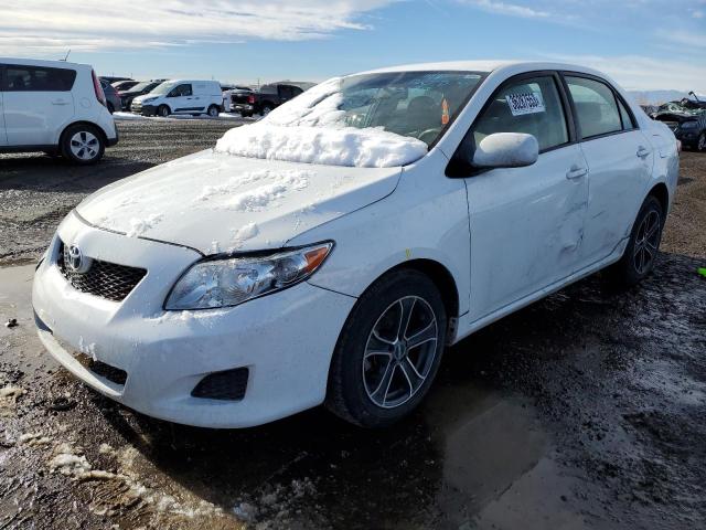 TOYOTA COROLLA BA 2009 with VIN JTDBL40E29J046827 - Photo from auction