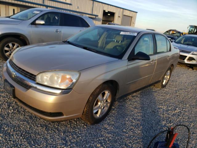 Photo 1 from auction – 2005 CHEVROLET MALIBU LS with VIN 1G1ZT54855F200669