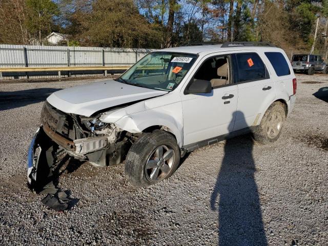 FORD ESCAPE XLT 2010 with VIN 1FMCU0DG5AKB89951 - Photo from auction